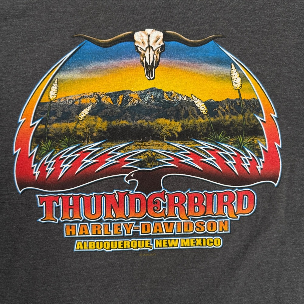 Harley Davidson Graphic T-Shirt Mens XL Grey Thunderbird Albuquerque NM Biker - Picture 8 of 8